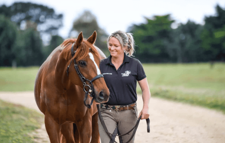 The Life of a Racehorse After Retirement