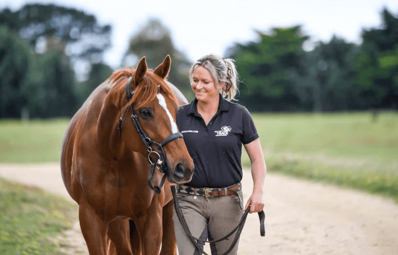 The Life of a Racehorse After Retirement