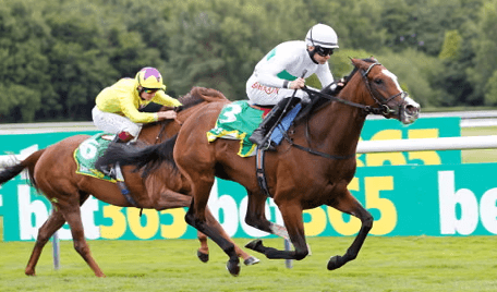 The Most Dangerous Horse Racing Races in the World