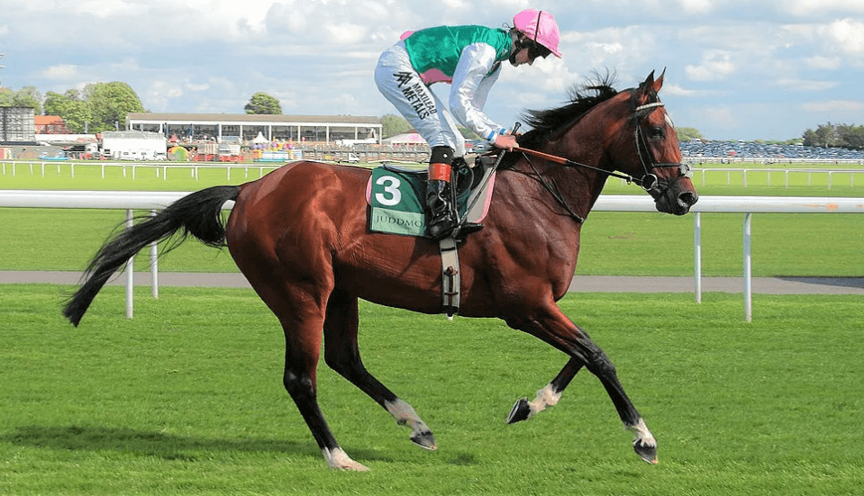 The Most Famous Horse Races in History