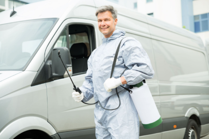 Why DIY pest Treatments Often Fall Short